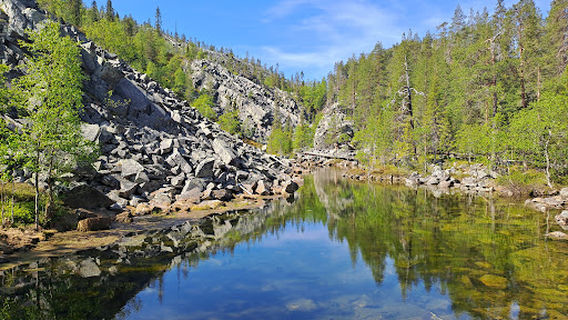 Pyhä-Luosto National Park