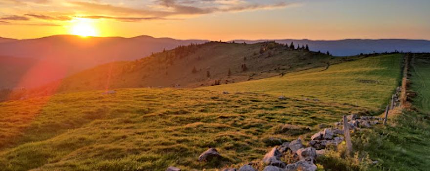 Vosges