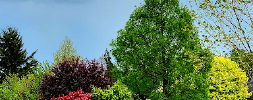 Greyhawk Neighborhood Park