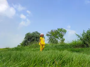 Lapangan PU