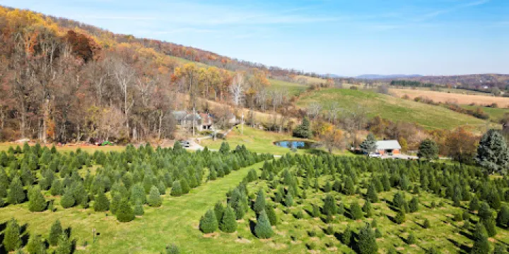 Snickers Gap Christmas Tree Farm