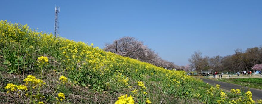 Kokaigawa River Fureai Park