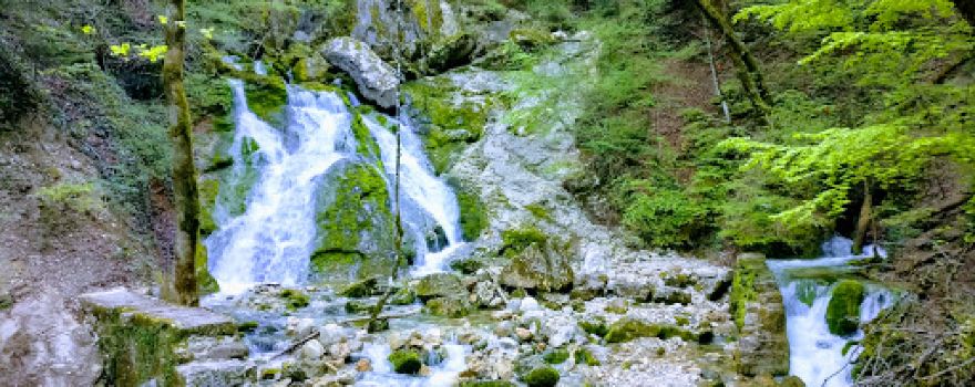 La Source de l'Allondon