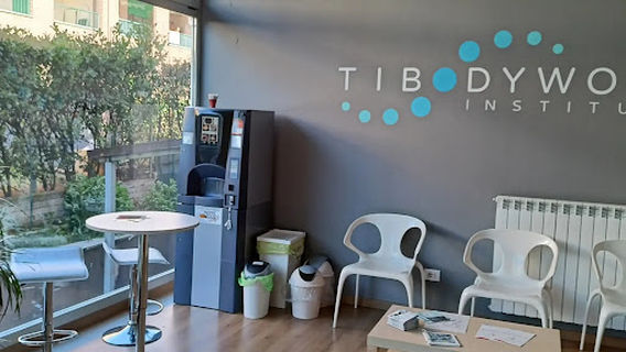 TIBodywork Institute