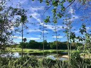 Maun Rest Camp
