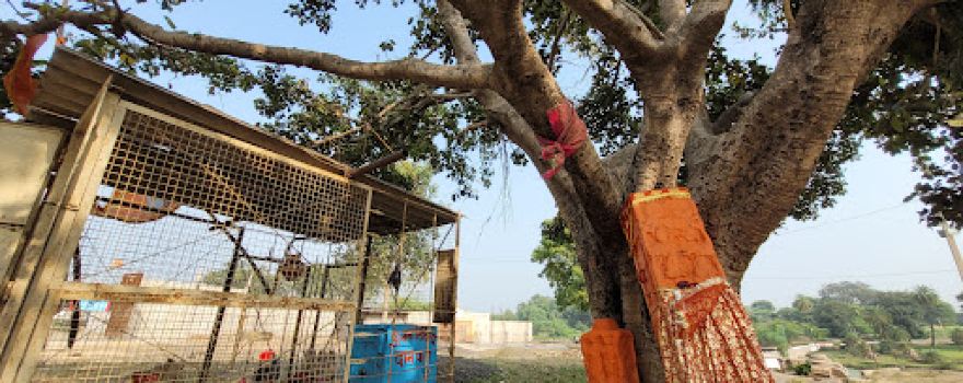 Shri Narsingh Mandir Narsingh tirth dham