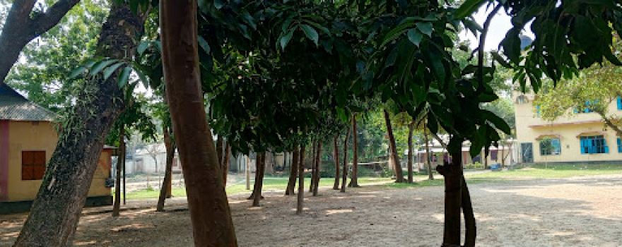 Shimulia Jame Masjid