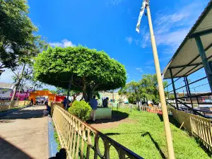 Francisco Menendez Park