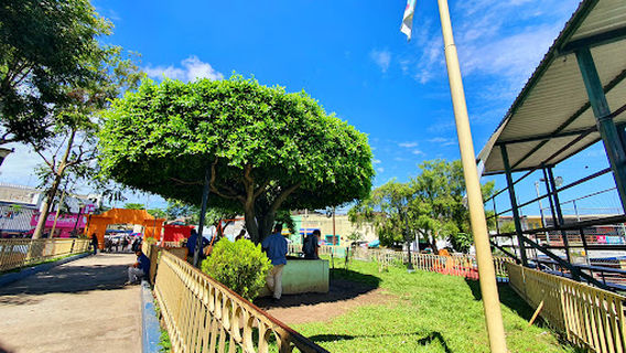 Francisco Menendez Park