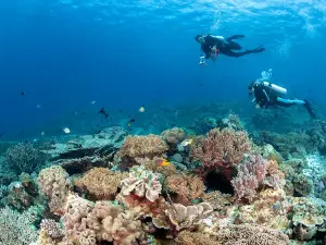 Pulau Hoga