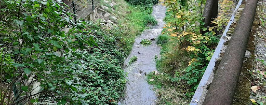 Spielplatz Niederwiesa Wald