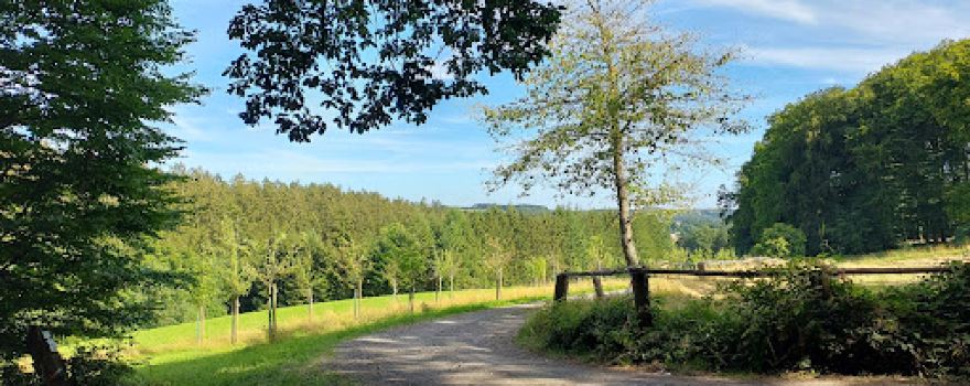 Waldschule Mehren