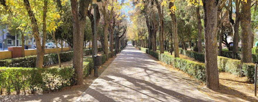 Gómez Pamo Park