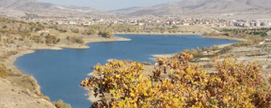 Bayat Pond