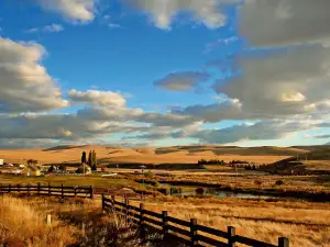 Ruggs Ranch