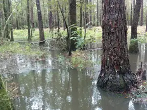 Metter/Candler Recreation Department