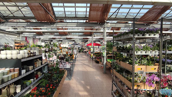 Dehner Garten-Center