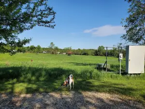 Volga Lake Campground