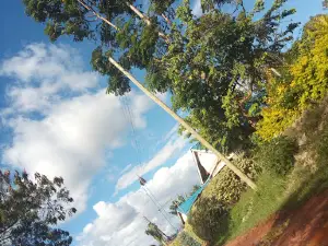 Muranga Water & Sanitation Co Ltd