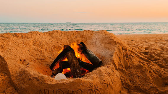 Belmont Wetlands State Park