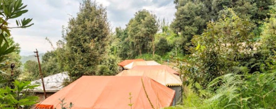 Kausani Adventure & Camping
