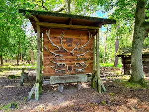 Wildlife park in the city forest Uelzen