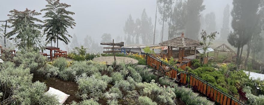 Taman Edelweiss Desa Wonokitri