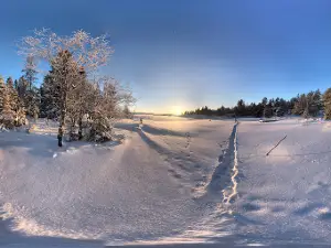 Stiftelsen Munkviken