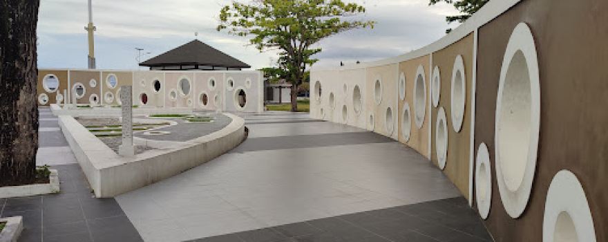 Rawa kodok