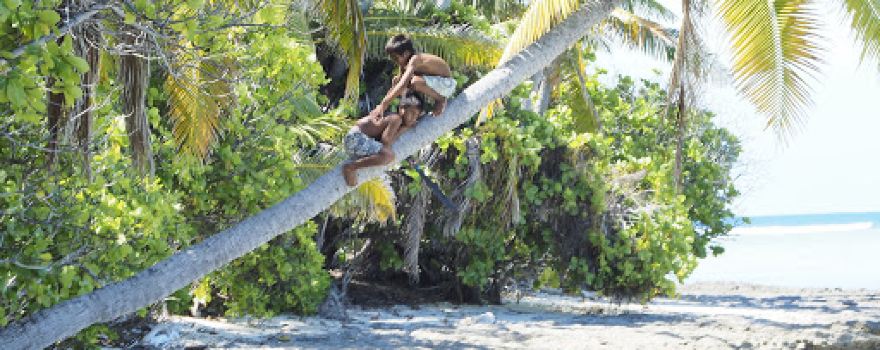 Nonouti Island