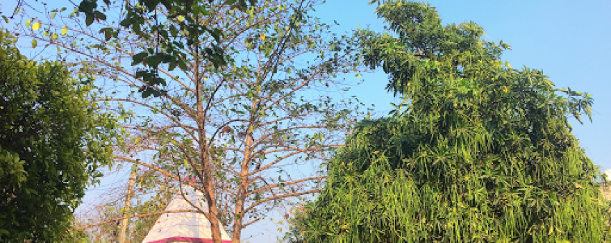Sheetla Mata Mandir