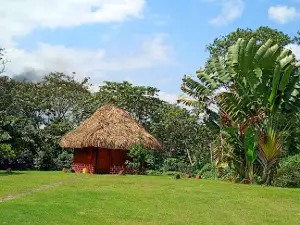 Jardin Botanico Motzorongo