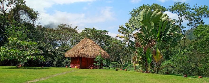 Jardin Botanico Motzorongo