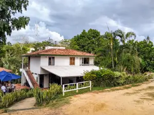 Kusamanes