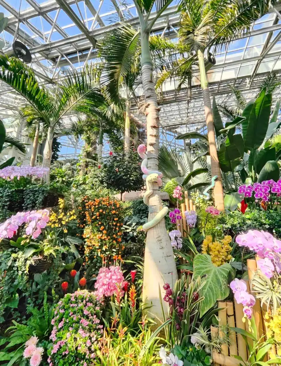 5_上海植物園
