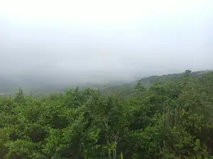 Parque Ecologico Da Serra Negra