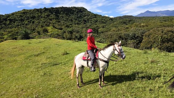 Full Adventures Boquete