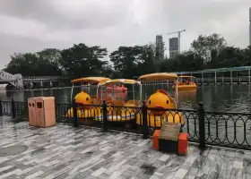 Window of the World - Cruise Ship