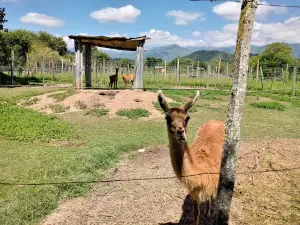 Reserva Fitozoologica Carlos Pellegrini