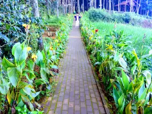 Bukit Moko