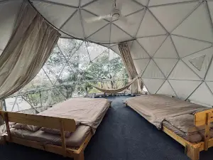 Tropical eglamping