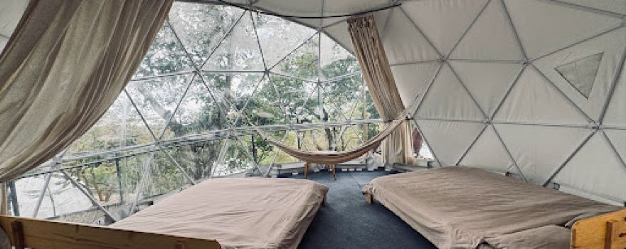 Tropical eglamping