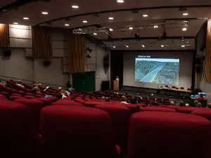 Risør kino