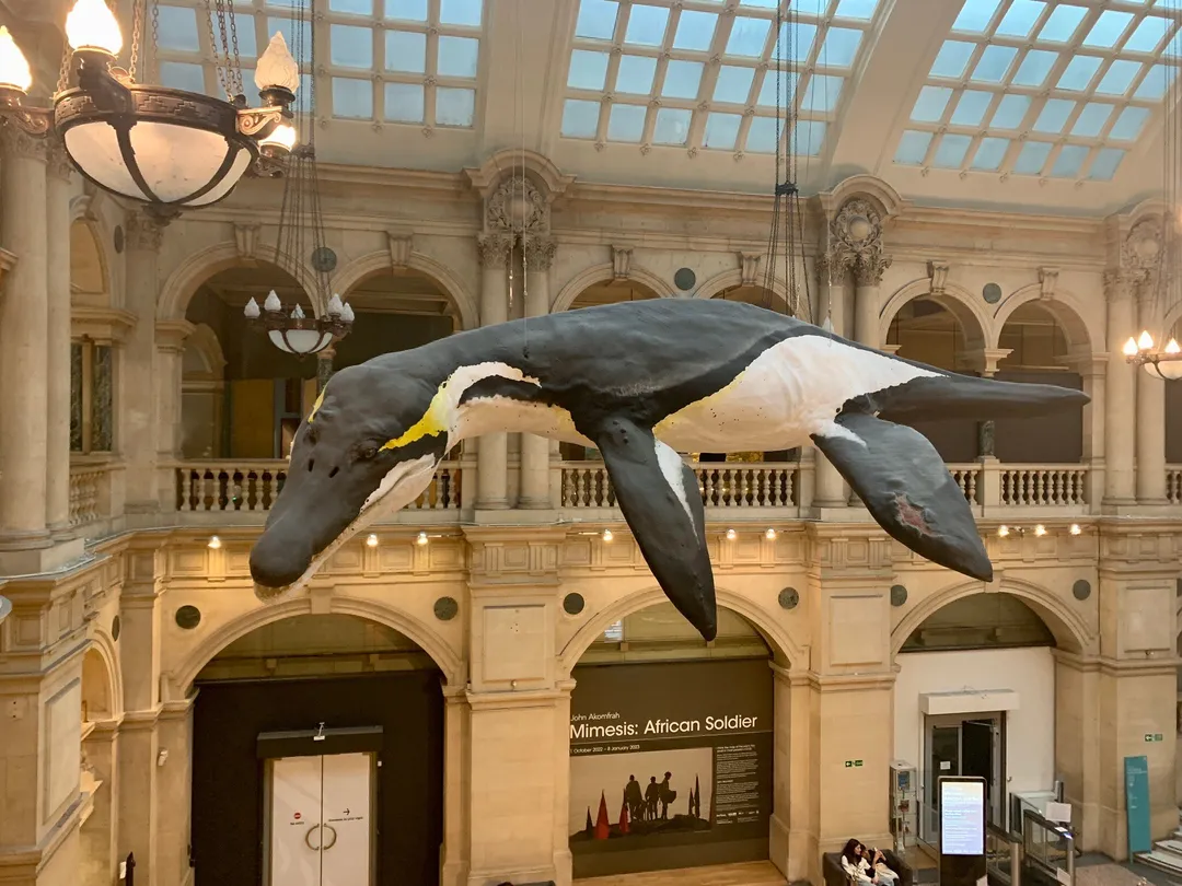 5_Bristol Museum & Art Gallery