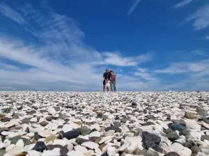 Плайя Лас Кончильяс