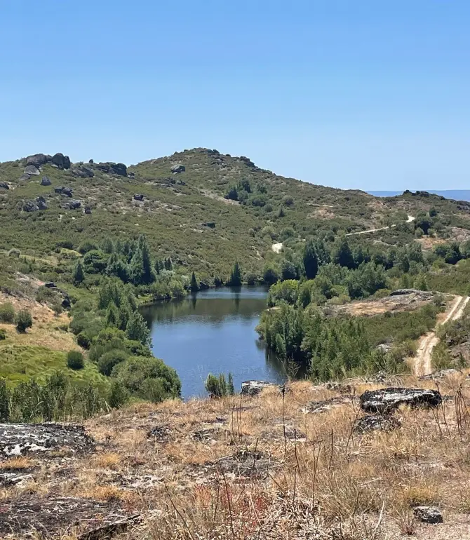 Braganca