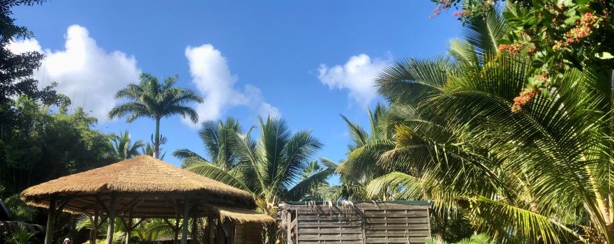 The House of Coco