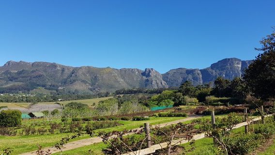 Chart Farm | Roses and Coffee Shop