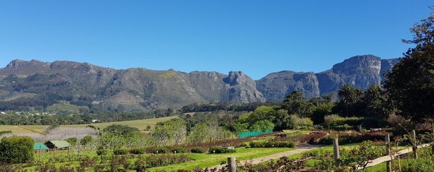 Chart Farm | Roses and Coffee Shop