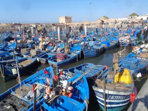 Essaouira Fishing Port